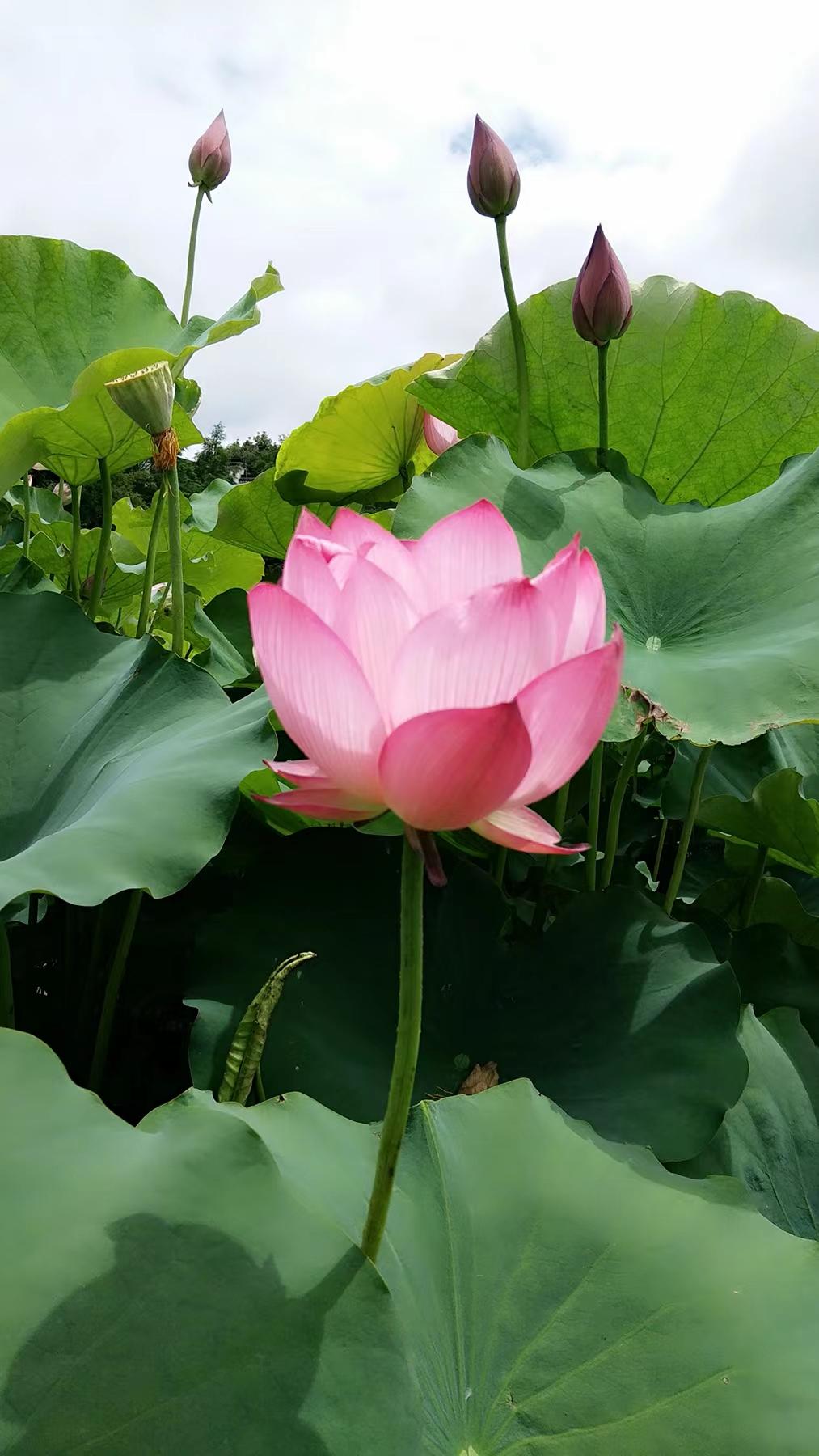 http://www.bwam.com.cn/hsdt/221.html
